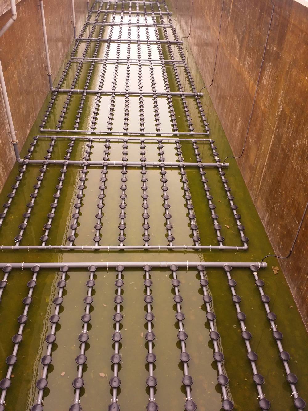 供应德国耶格尔进口微孔曝气盘曝气器曝气头盘式曝气器