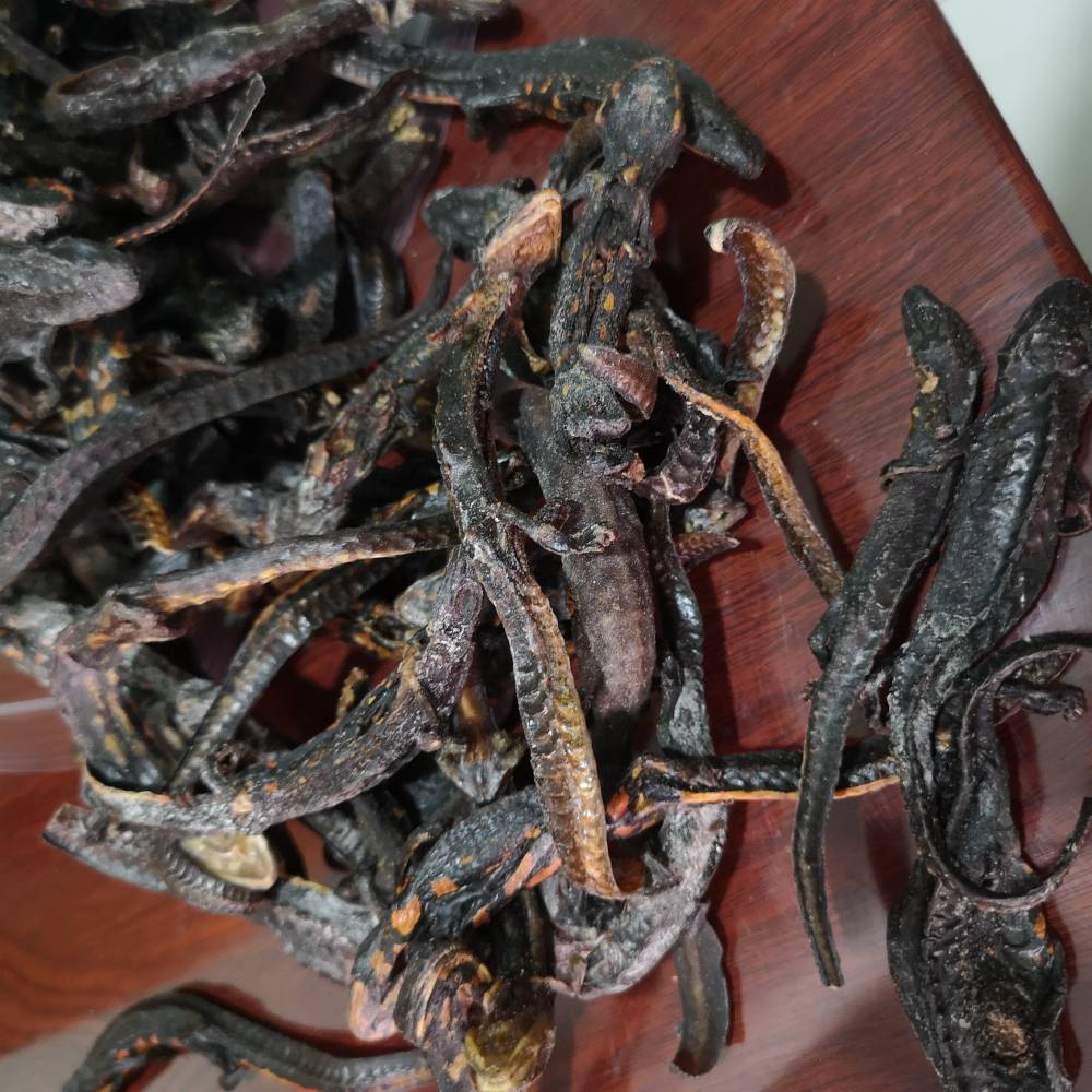 中药材接骨丹价格供应接骨丹正宗接骨丹