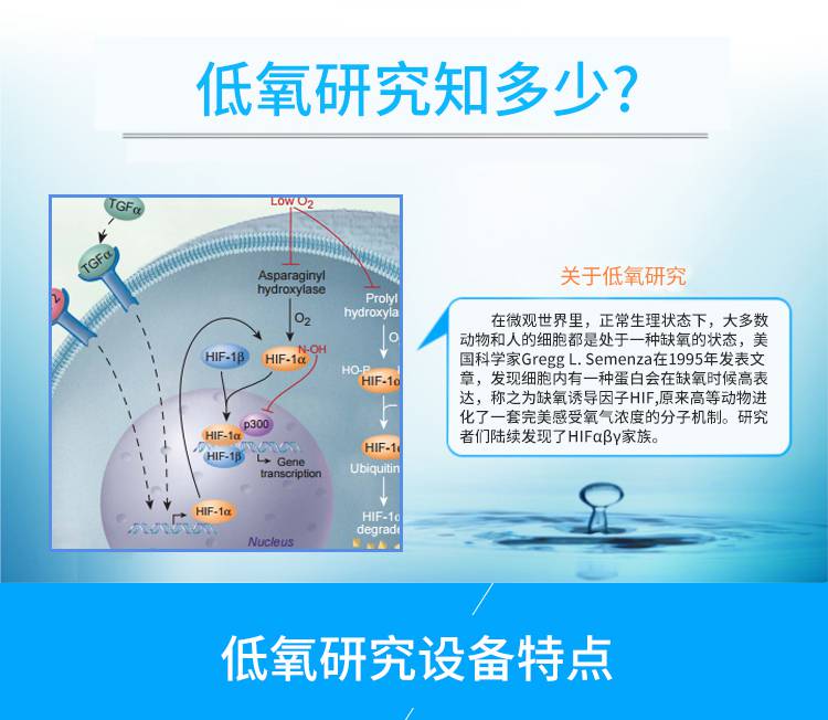 HYB华阳生化实验仪器设备、生化试剂、生化耗材