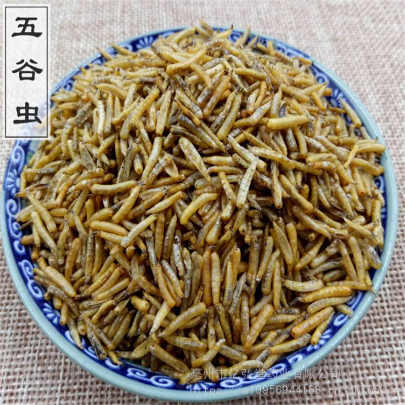 水仙子价格蛆谷虫一公斤五谷虫