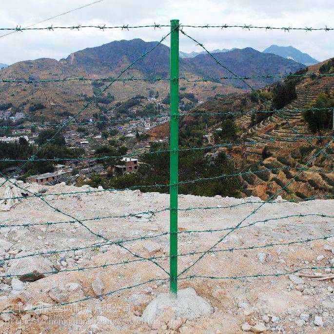 普通公路干线刺钢丝网隔离栅动物保护区围栏牧场刺铁丝隔离栅