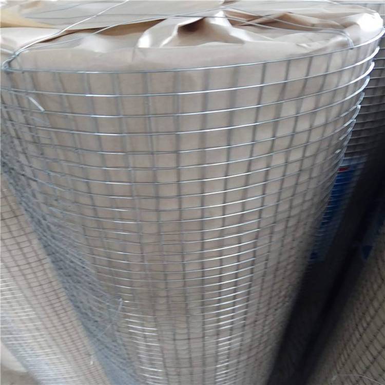 镀锌电焊网 抹墙铁丝网 外墙保温铁丝网
