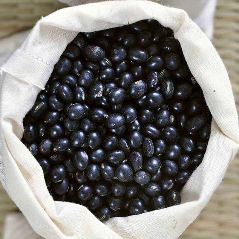 批发黑豆种子牧草种子发芽率高牛羊鸡鸭鹅草