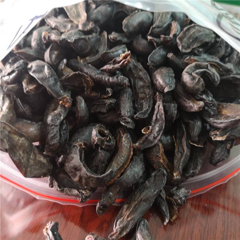 鼻涕虫大蛞蝓黄蛞蝓野蛞蝓批发的价格多少钱一公斤