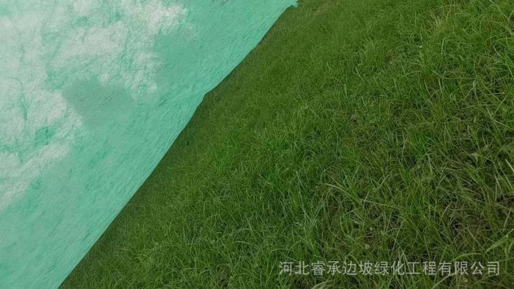 风电场复绿 矿山生态治理 水电站边坡绿化施工 客土喷播植草护坡