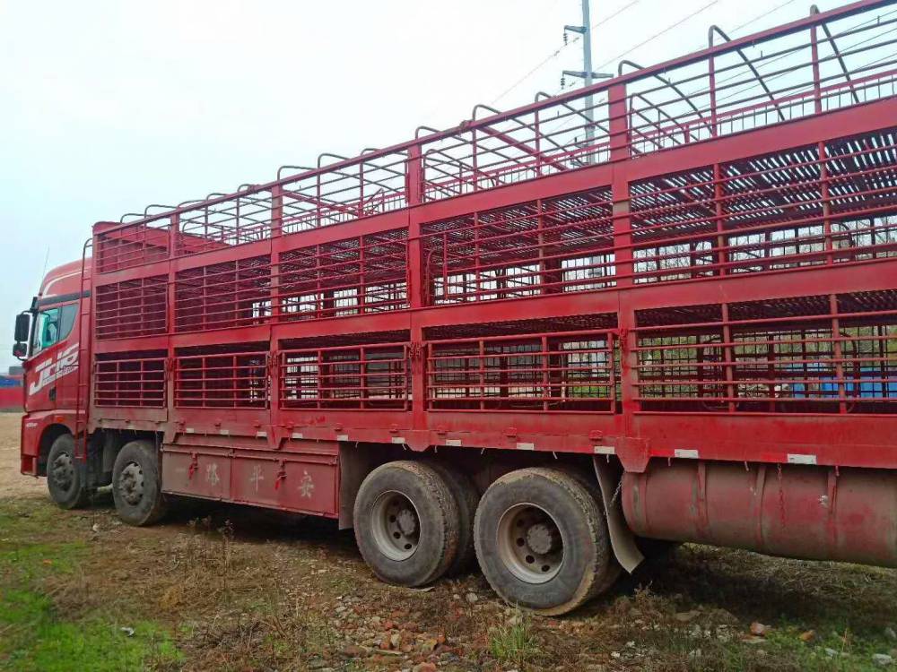 解放前四后八猪笼车二手国五猪笼车二手9米6苍栏载货车二手货车自卸车