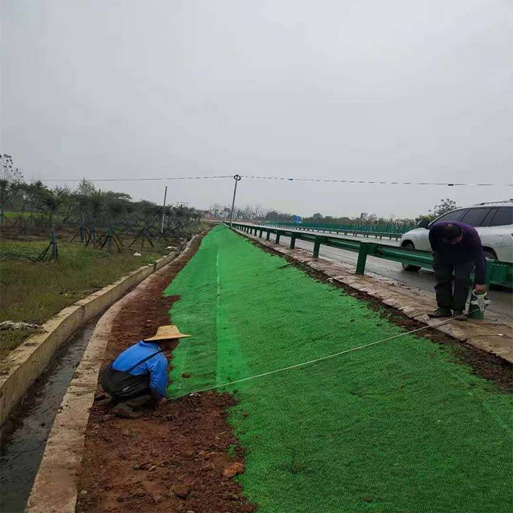 内蒙古包头市植草护坡用施工简单三维植被网