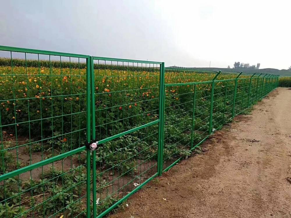 以舒展的姿态成全每一个人发展