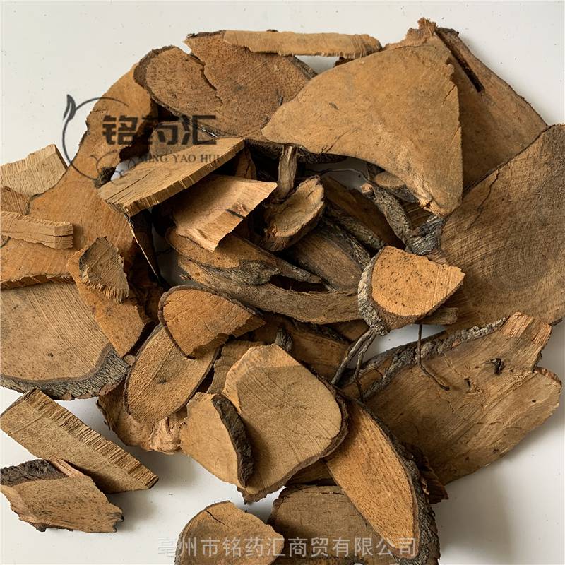 安徽枇杷根供应中药材山枇杷