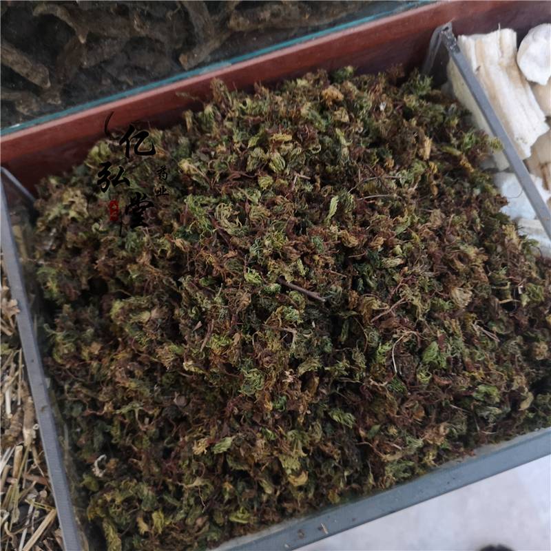 回心草别名大叶藓铁脚一把伞太阳草