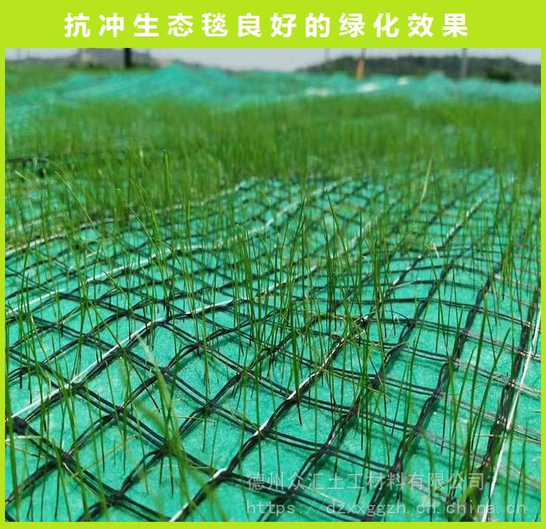 生态植被毯河道边坡生态绿化植草护坡定制草籽环保草毯抗冲生物毯