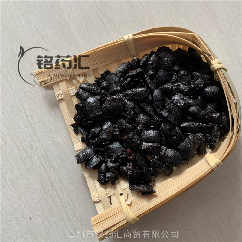 野生屁板虫供应中药材九香虫