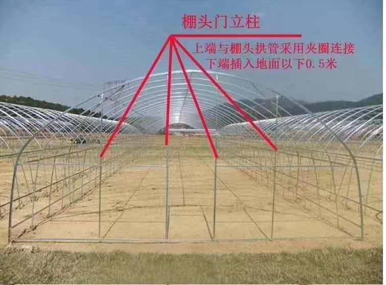 蚌埠棚高187米镀锌椭圆管果树大棚