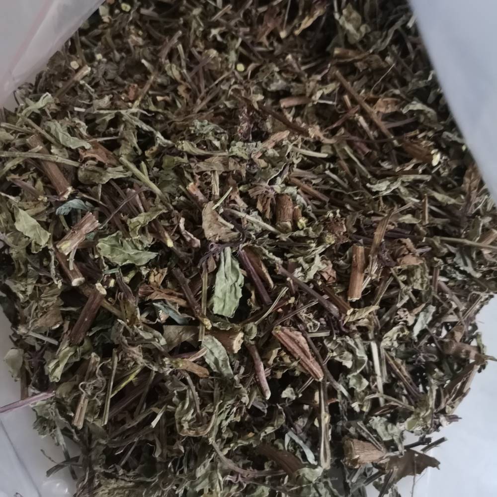 猫须草野生猫须草出售猫须草