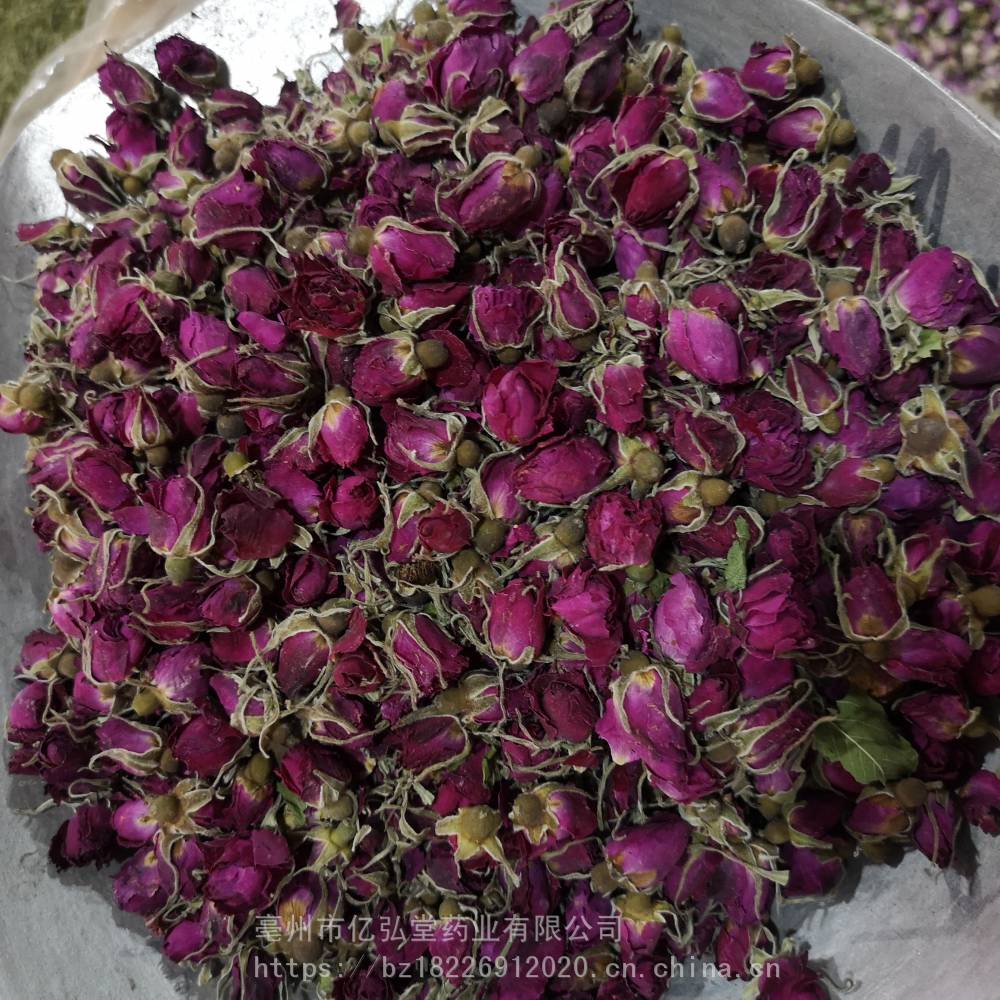 徘徊花笔头花湖花刺玫花刺玫菊