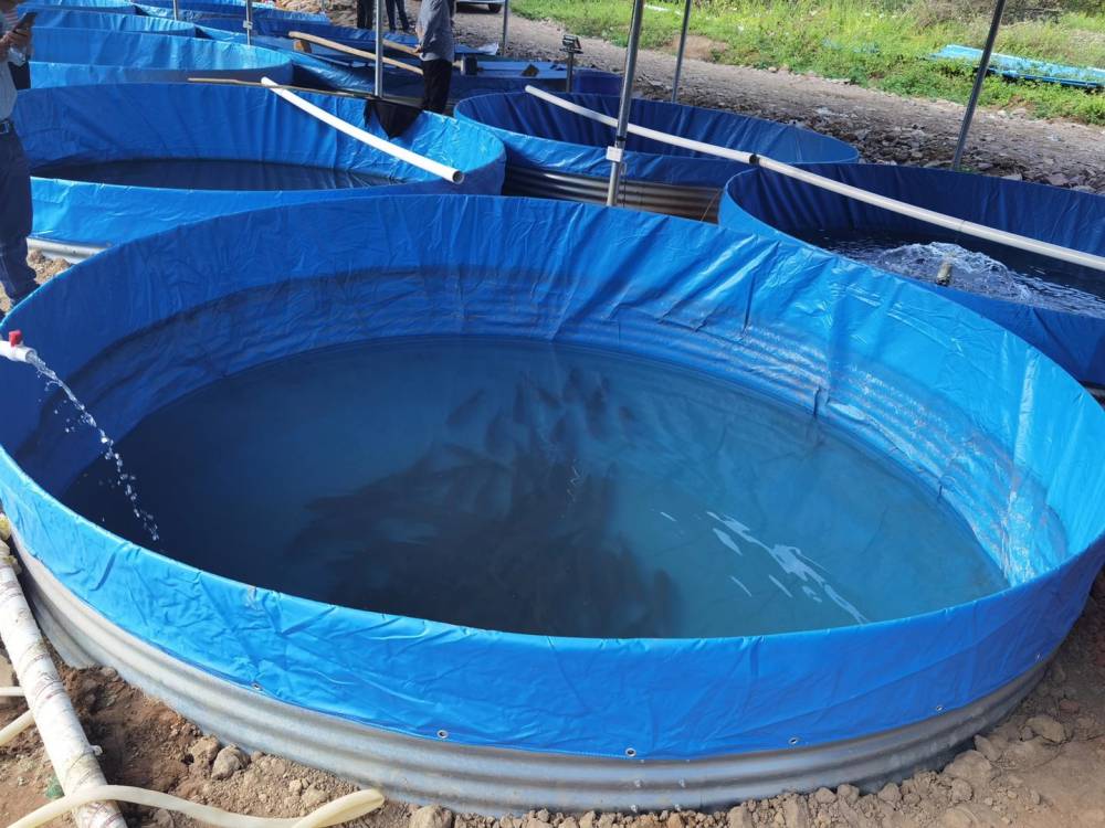 折叠帆布鱼池蓄水池防水布防晒加厚养鱼池塑料大型刀刮布水池布罩