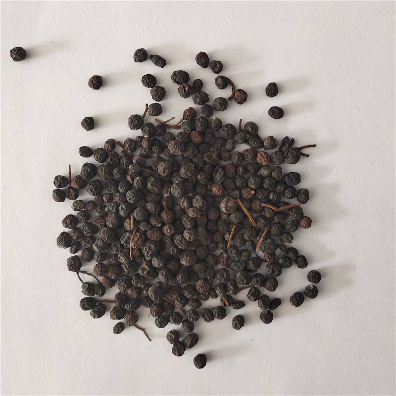 红叶石楠种子发芽率高价格便宜批发价