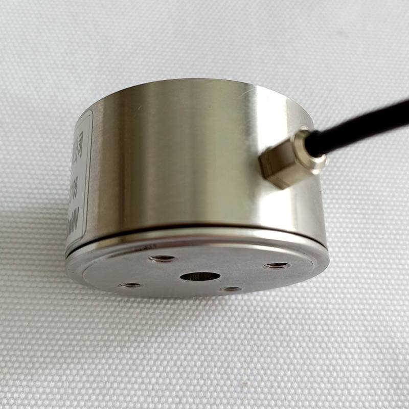 安徽智柯力敏传感器有限公司