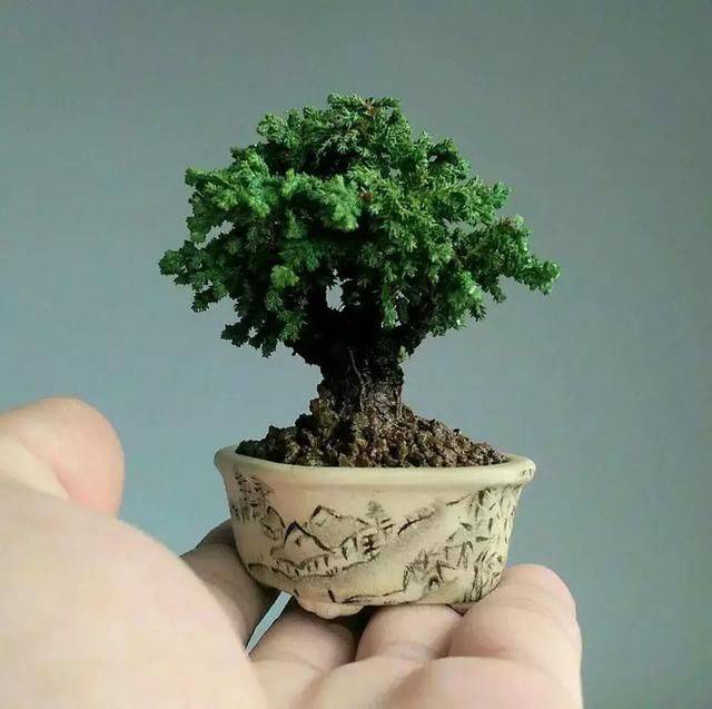 室内 小盆景微景观设计定制***湖南绿蚁人