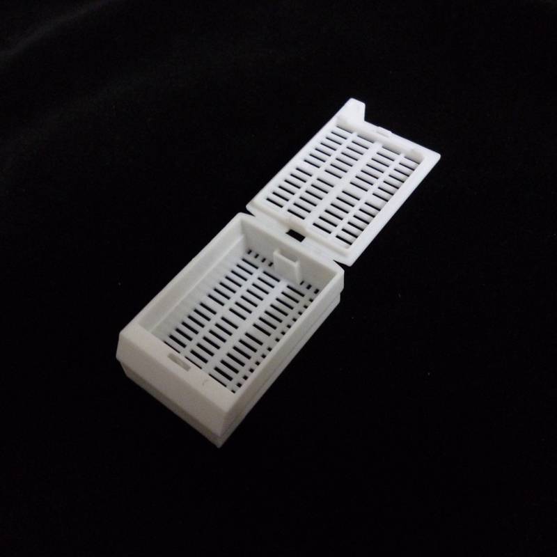 12mm加深加高组织包埋盒大组织连体带盖包埋盒批发