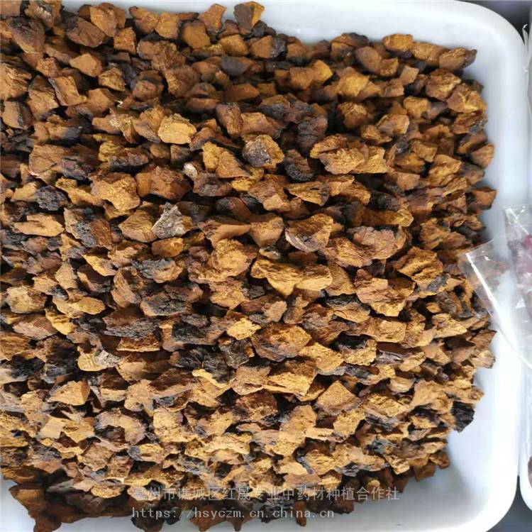 桦树茸原料 红晟 服务至上 桦树茸产品
