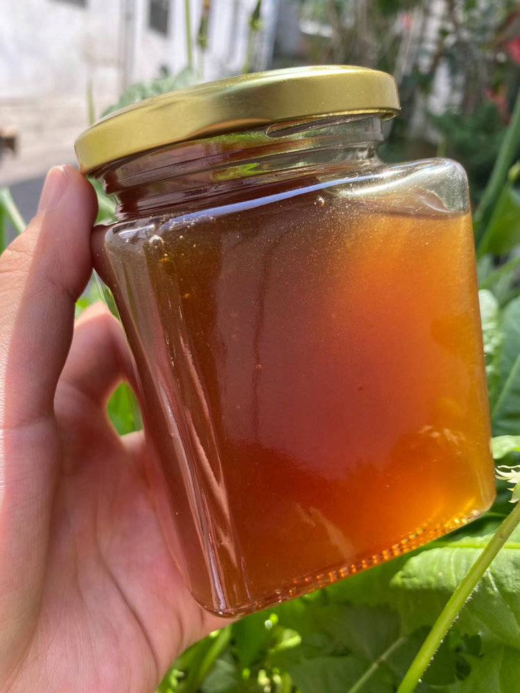 彝山香常年批发云南特产岩蜂蜜悬崖蜜岩蜜巢蜜蜂蜜