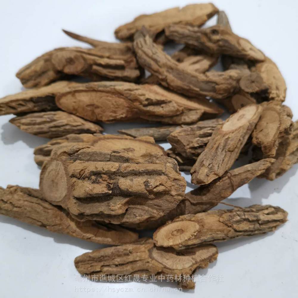 深圳大茶药中药材大茶药批发价格