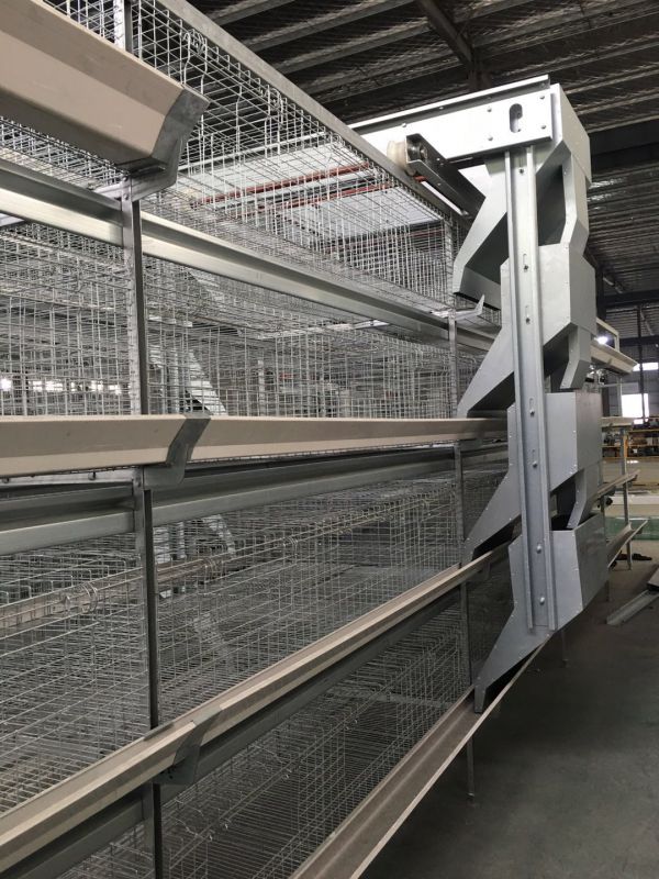 厂家直销育雏笼设备小鸡笼子根据用户需求订做层叠阶梯鸡笼