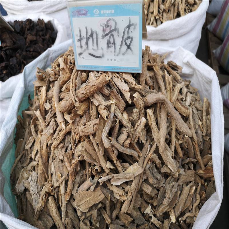 正宗地骨皮价格 地骨皮图片 地骨皮产地货源