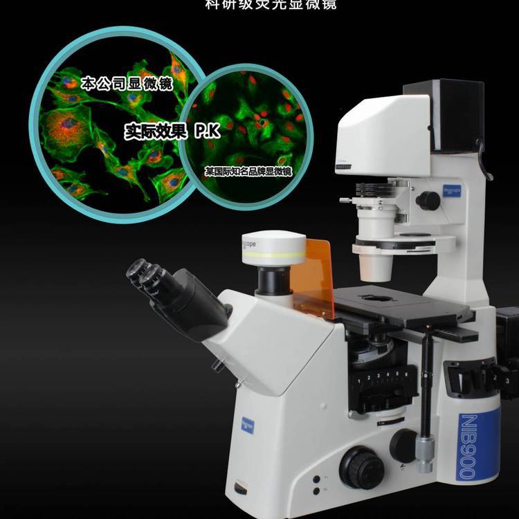 国产 倒置 荧光显微镜 10倍 NIB900 欧美伽滤色片 悌可光电