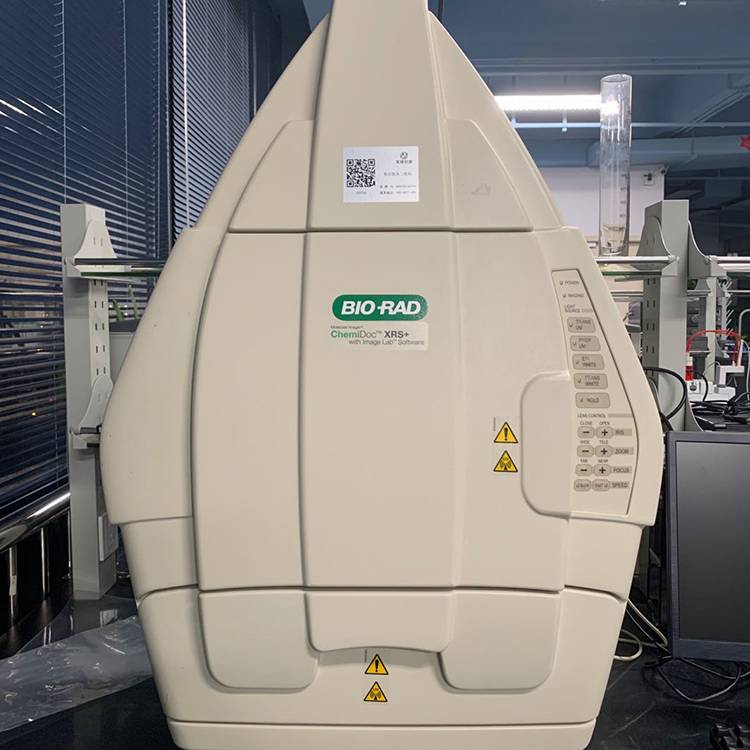 白光托样品盘凝胶成像仪二手伯乐荧光凝胶成像分析系统bioradxr凝胶