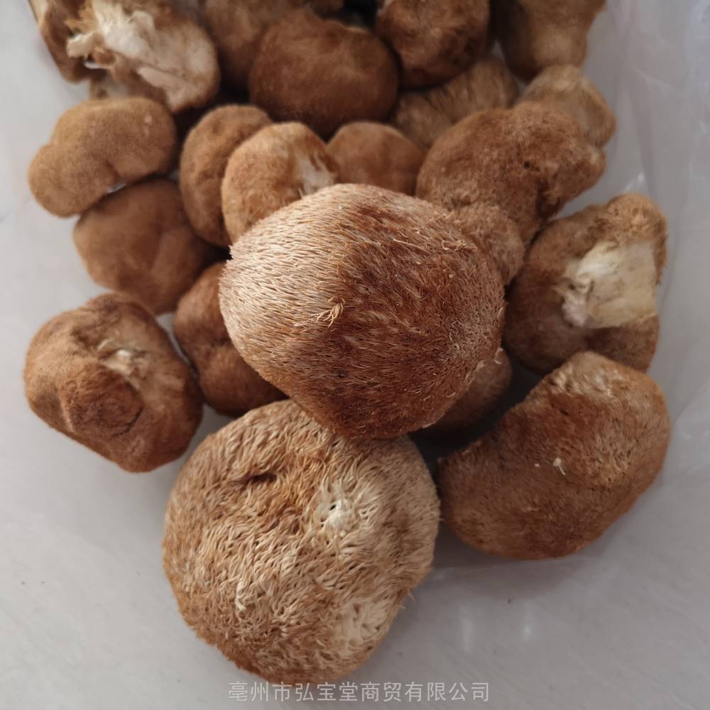 【猴头菇 野生猴头菇功效和作用】价格_厂家 - 中国供应商