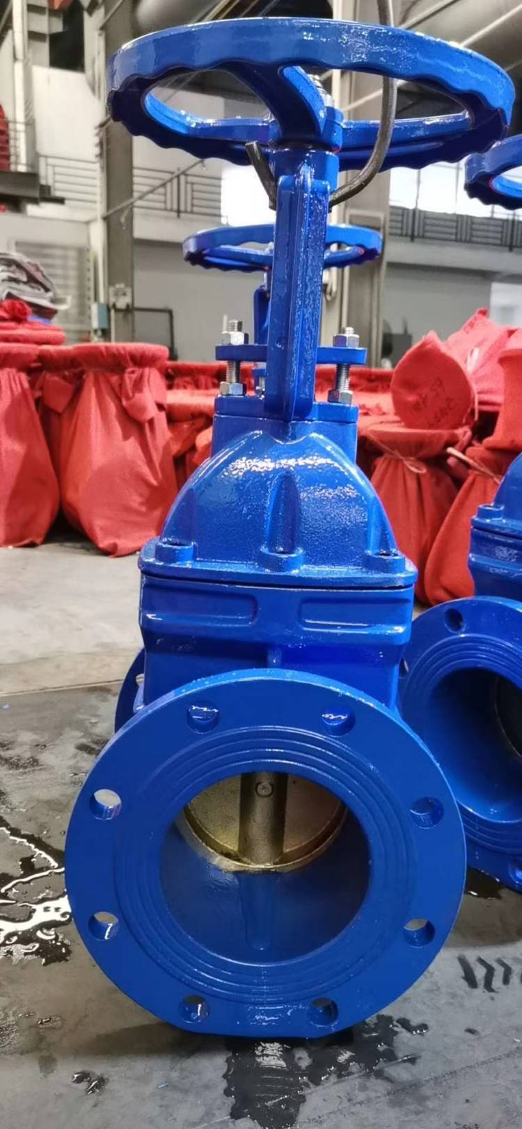 明杆铜芯闸阀Z41T-10Q楔式闸阀球墨铸铁QT450硬密封DN100 DN150