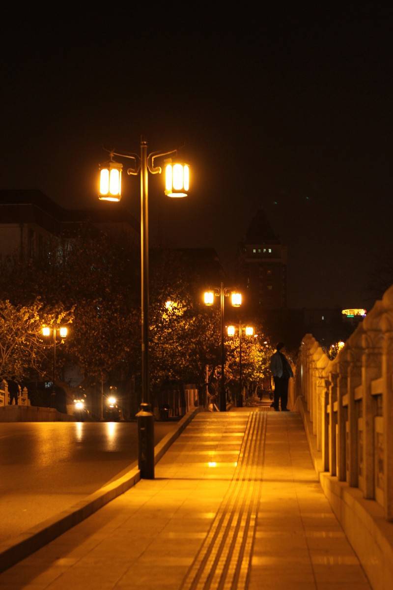 福华照明4米太阳能路灯农村惠民户外街道灯一体化螺旋臂led灯图片