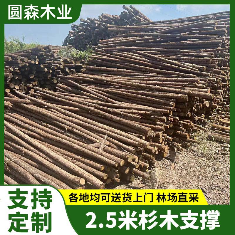 福 建绿化固定支架 绿化园林杆 大树支撑杆 杉木支撑架 苗木固定支架