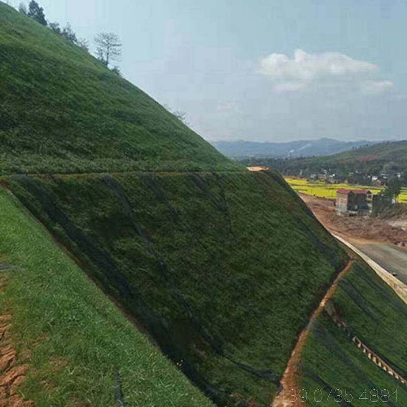 噴播植草廣東清遠山體邊坡綠化用的高次團粒噴播植草單價多少錢一方