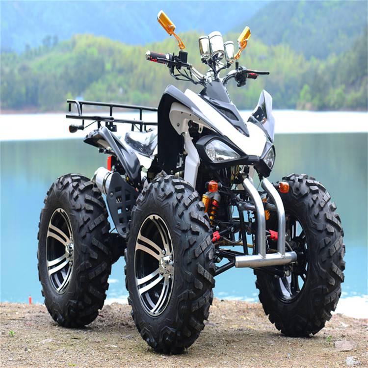 大型燃油沙滩车越野沙滩车把式atv沙滩车图片