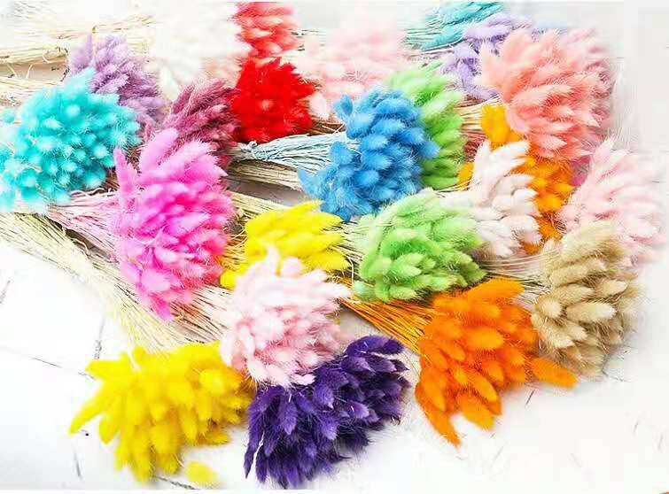 麦穗黄染料干花染色剂芦苇色素等各种装饰品植物染色染料欢迎订购