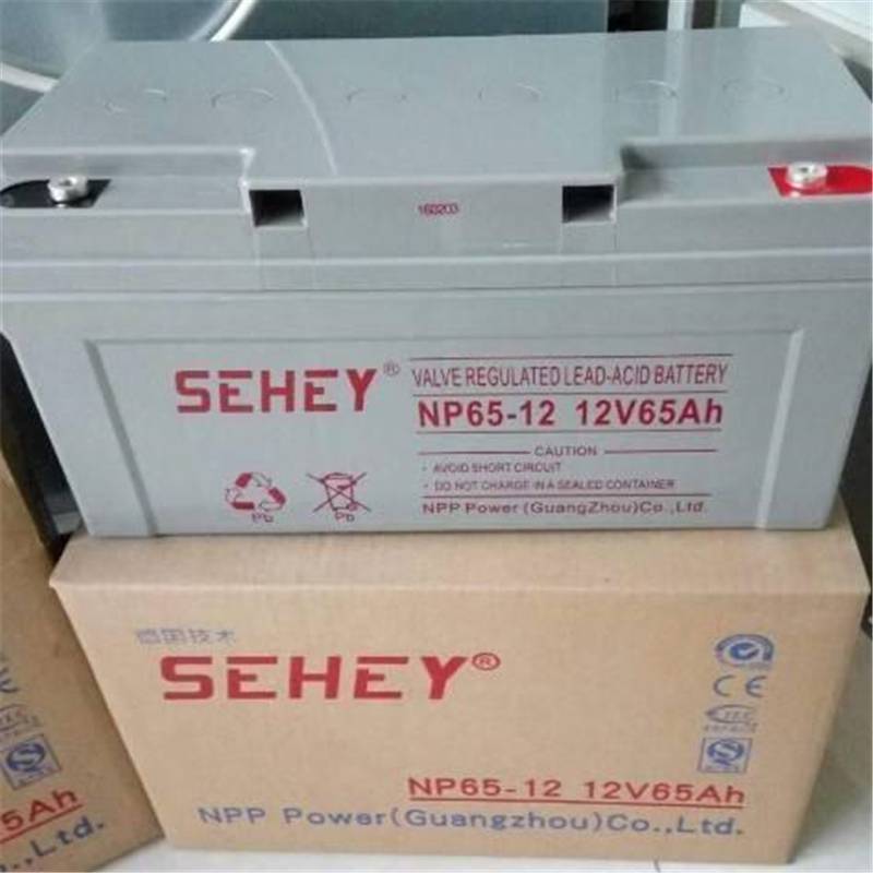 毕节SEHEY免维护蓄电池NPG26-12胶体12V26AH维护保养手册