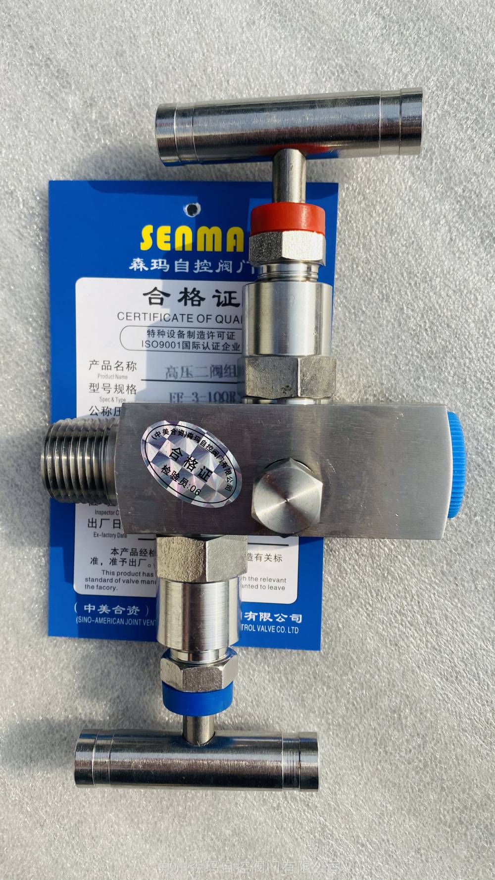 npt不锈钢高压二阀组ef3图片