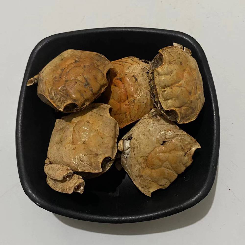 中药材方蟹-方蟹市场售价咨询报价