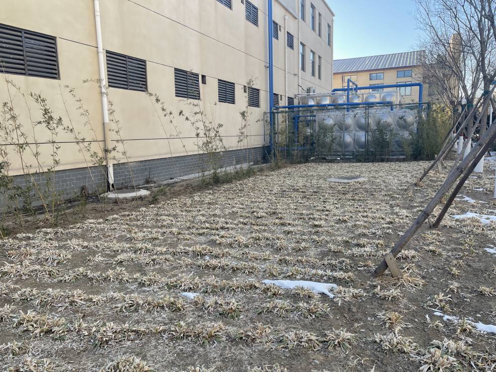 供应太阳能热水工程