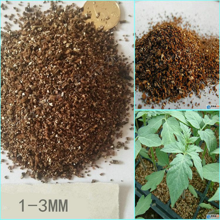 育苗蛭石蛭石育苗价格蛭石厂家