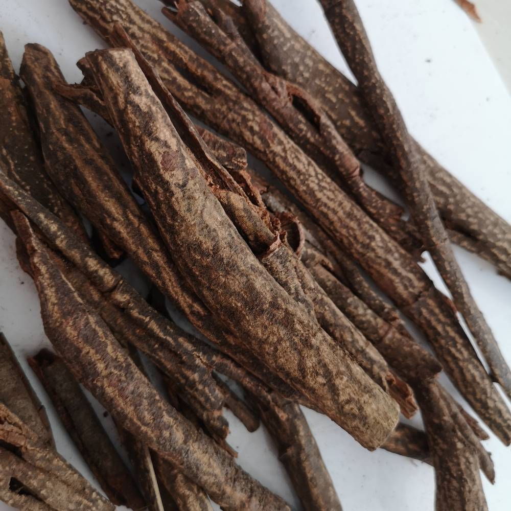 中药藤杜仲野生藤杜仲红杜仲功效