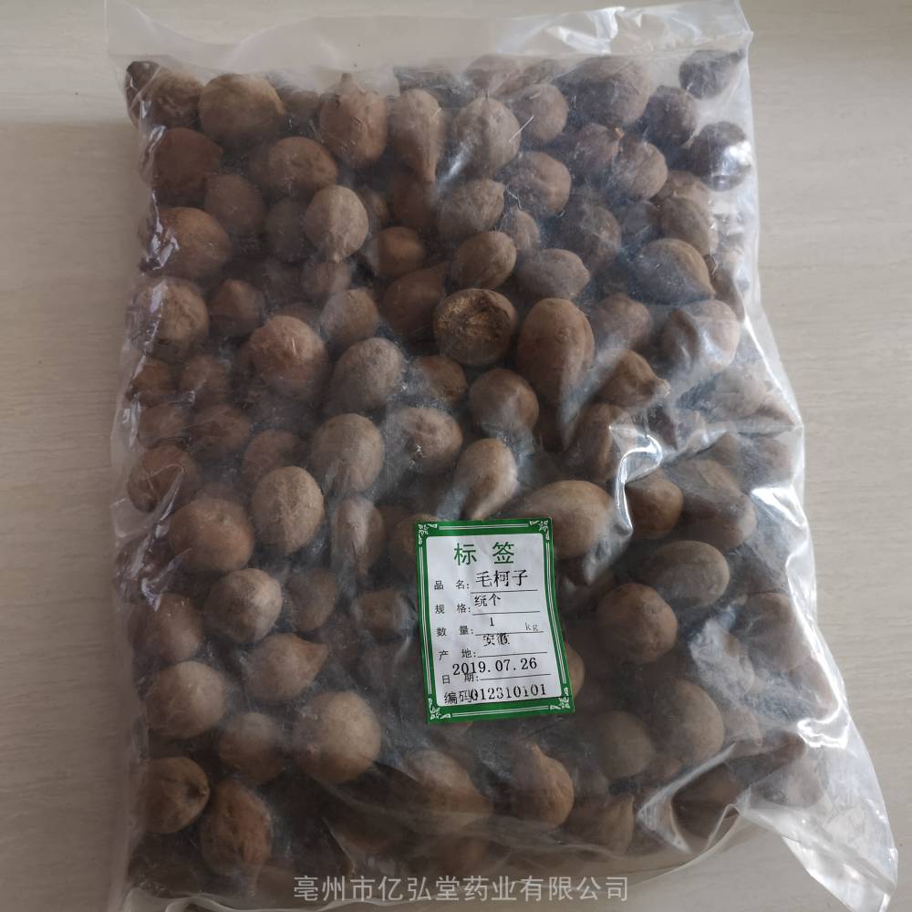 中药材诃子功效与作用毛柯子毛诃子诃黎勒诃黎诃梨随风子