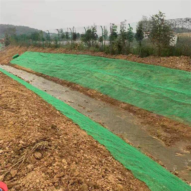 3层抗老化植草护坡网黑色撒草籽绿化用土工三维植被网垫