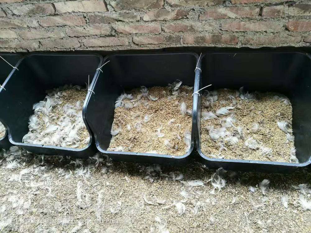 鸭用塑料蛋窝 种鸭产蛋窝  蛋鸭下蛋箱  鸭子集蛋巢方形无底鸭蛋巢