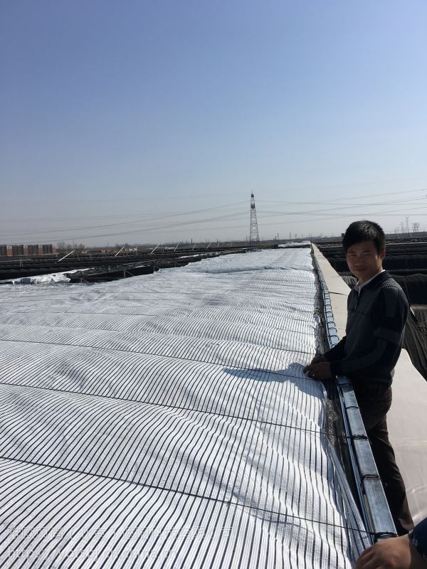 供应电动遮阳网户外遮阳网