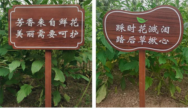 广州定制防腐木景区指示牌花草警示牌公告展示牌