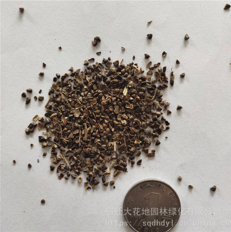 紫薇种子发芽率高价格便宜批发价